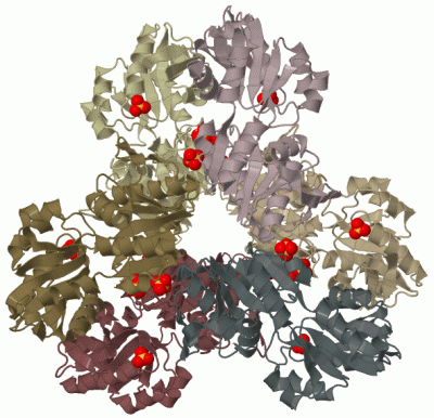 Image Biol.Unit 1 - manually