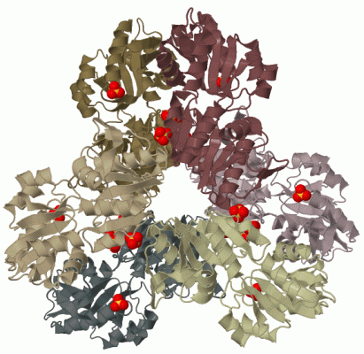 Image Biol.Unit 1 - manually