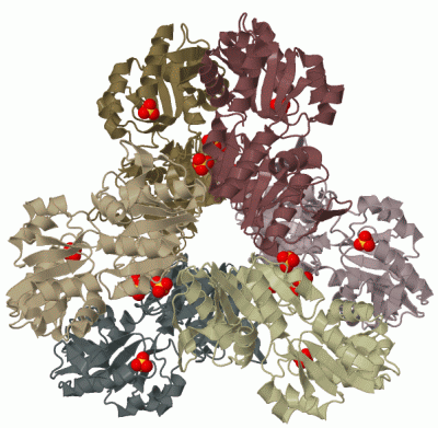 Image Biol.Unit 1 - manually