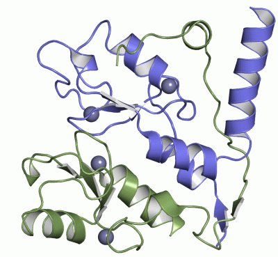 Image Asym./Biol. Unit - manually