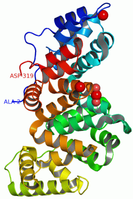 Image Asym./Biol. Unit - manually