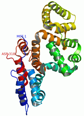 Image Asym./Biol. Unit - manually