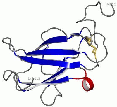 Image NMR Structure - manually