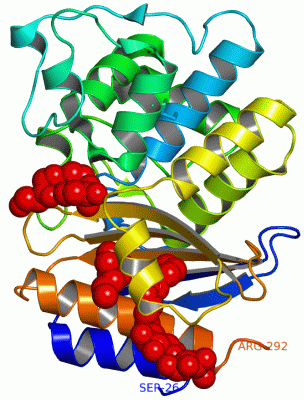 Image Asym./Biol. Unit - manually