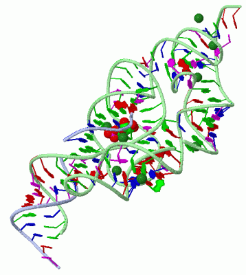 Image Asym./Biol. Unit - manually