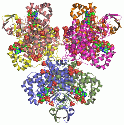 Image Asym./Biol. Unit - manually