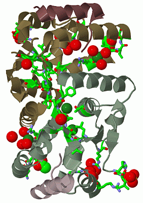 Image Biol.Unit 1 - manually