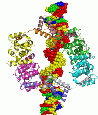 Image Asym./Biol. Unit - manually