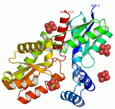 Image Asym./Biol. Unit - manually