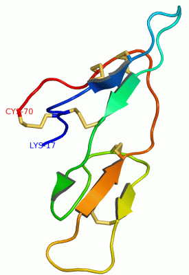Image Theor.Model - manually