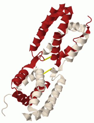 Image Biol.Unit 1 - manually