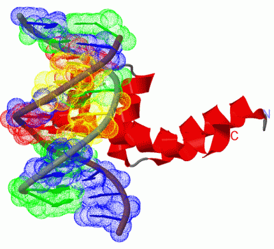 Image Biol.Unit 1 - manually