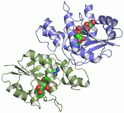 Image Asym./Biol. Unit - manually