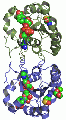 Image Asym./Biol. Unit - manually