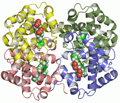 Image NMR Structure - manually