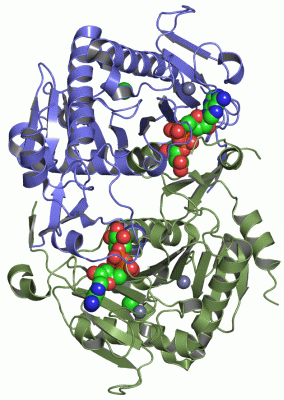 Image Asym./Biol. Unit - manually