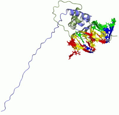 Image NMR Structure - manually