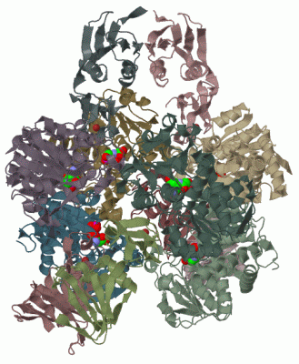 Image Biol.Unit 1 - manually