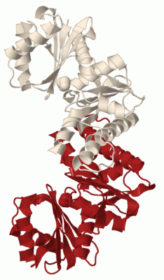 Image Biol.Unit 1 - manually