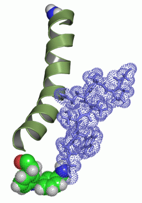 Image NMR Structure - manually