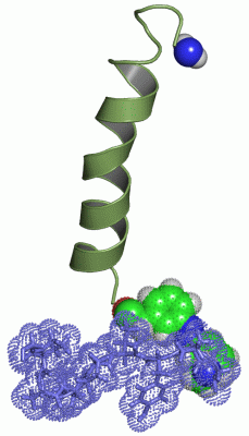 Image NMR Structure - manually