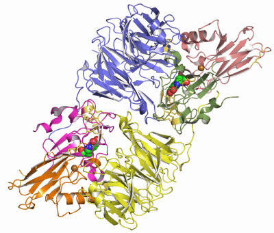 Image Asym./Biol. Unit - manually