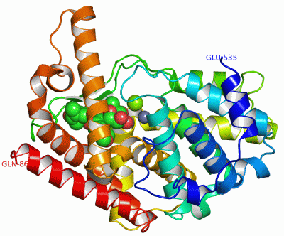 Image Asym./Biol. Unit - manually