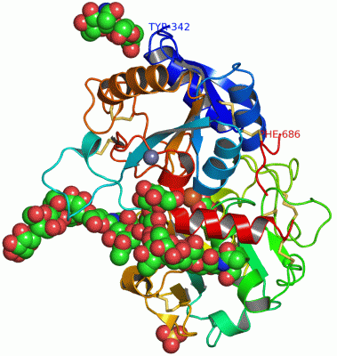 Image Asym./Biol. Unit - manually