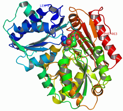 Image Asym./Biol. Unit - manually