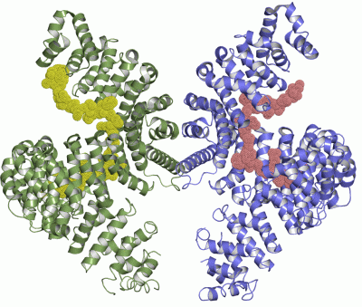 Image Asym./Biol. Unit - manually