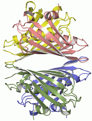 Image Asym./Biol. Unit - manually