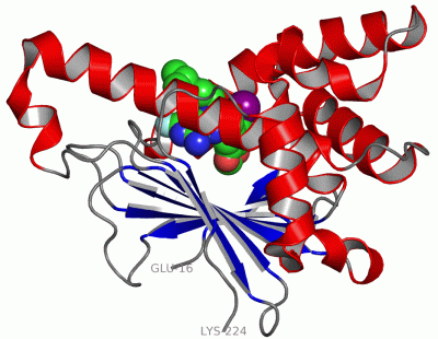 Image Asym./Biol. Unit - manually