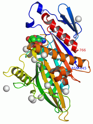 Image Asym./Biol. Unit - manually