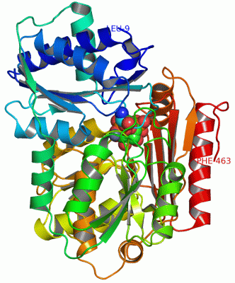 Image Asym./Biol. Unit - manually