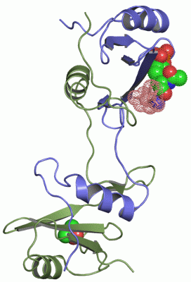 Image Asym./Biol. Unit - manually