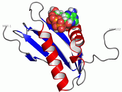 Image NMR Structure - manually