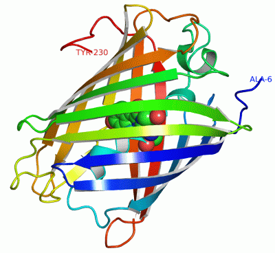 Image Asym./Biol. Unit - manually