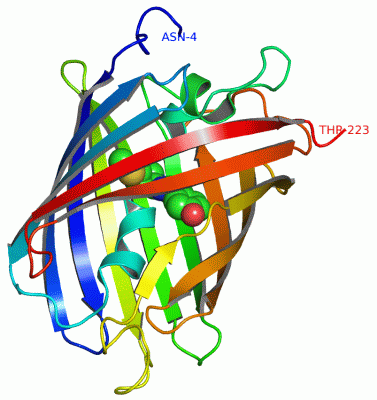 Image Asym./Biol. Unit - manually