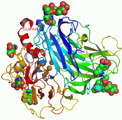 Image Asym./Biol. Unit - manually