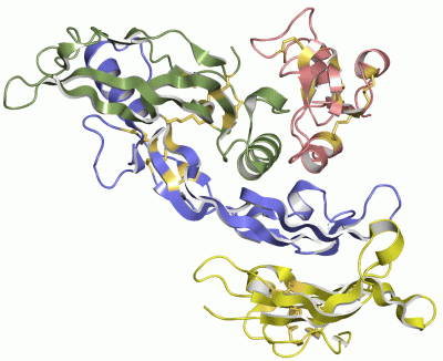 Image Asym./Biol. Unit - manually