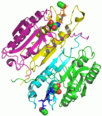 Image Asym./Biol. Unit - manually