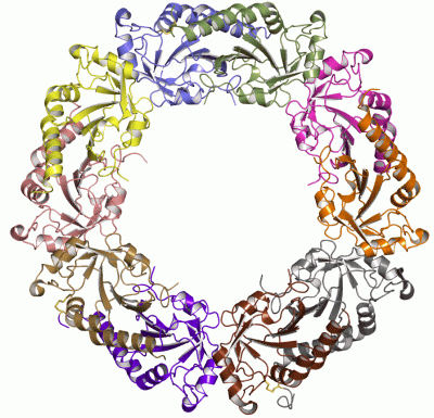 Image Asym./Biol. Unit - manually