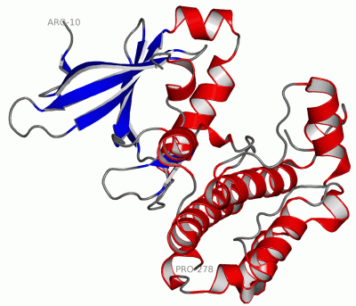 Image Asym./Biol. Unit - manually