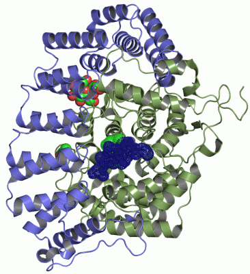 Image Asym./Biol. Unit - manually