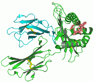 Image Asym./Biol. Unit - manually