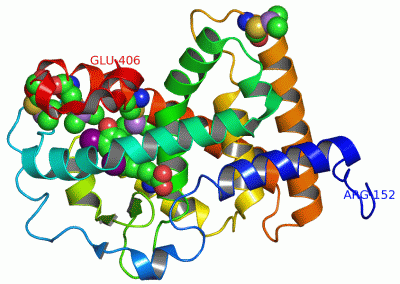 Image Asym./Biol. Unit - manually