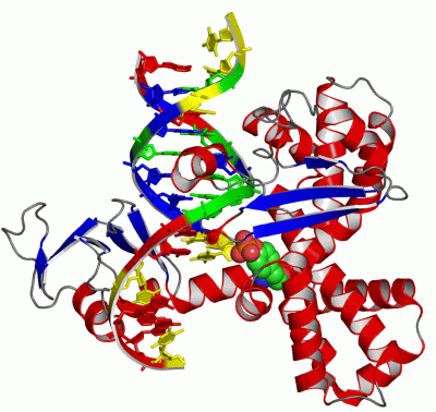 Image Asym./Biol. Unit - manually