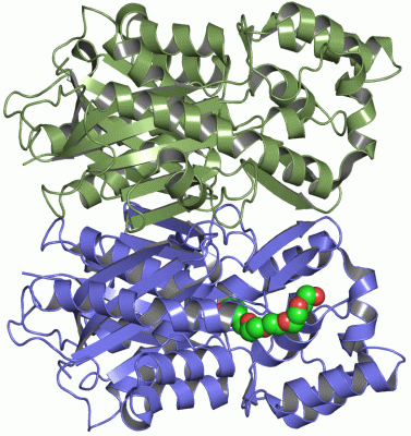 Image Asym./Biol. Unit - manually