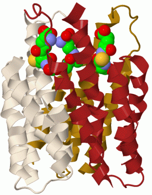 Image Biol.Unit 1 - manually