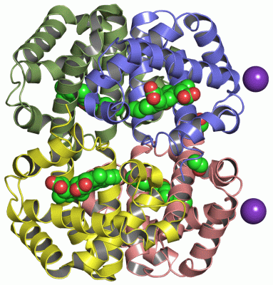 Image Asym./Biol. Unit - manually